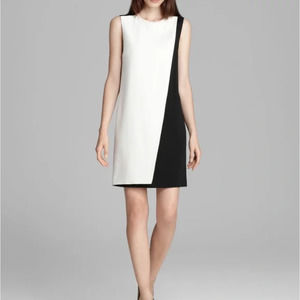 Theory Colorblock Shift Dress